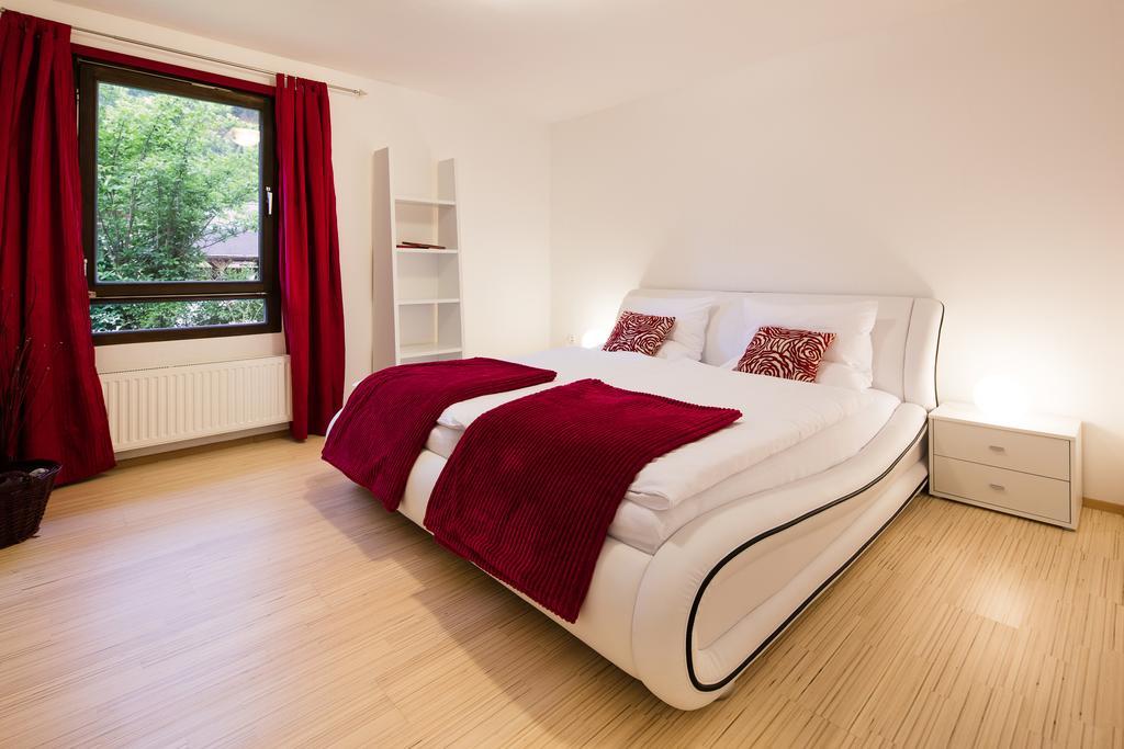 W & S Executive Apartments - Hallstatt I Eksteriør billede