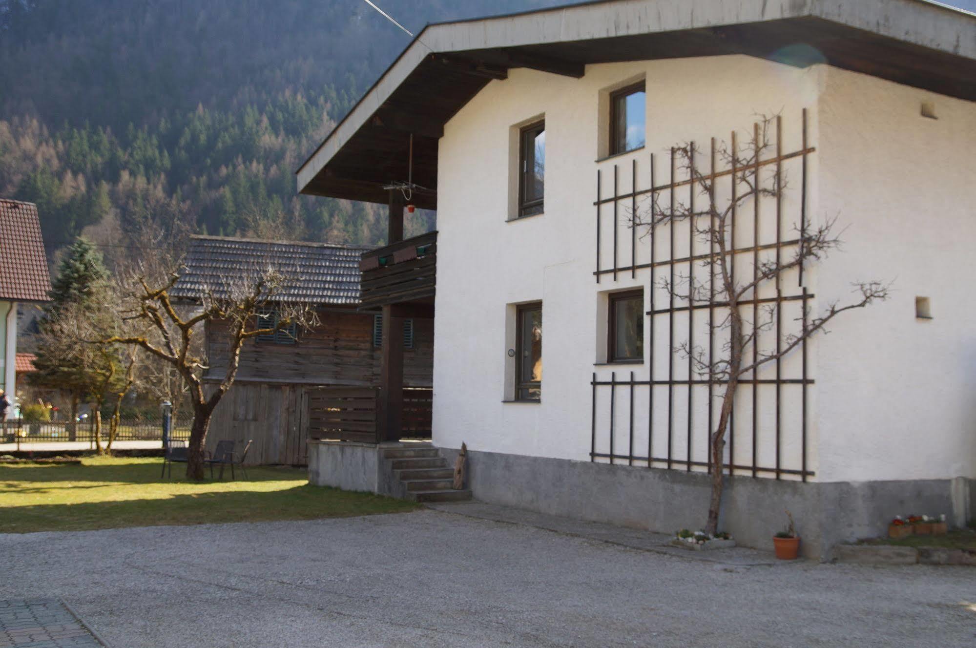 W & S Executive Apartments - Hallstatt I Eksteriør billede