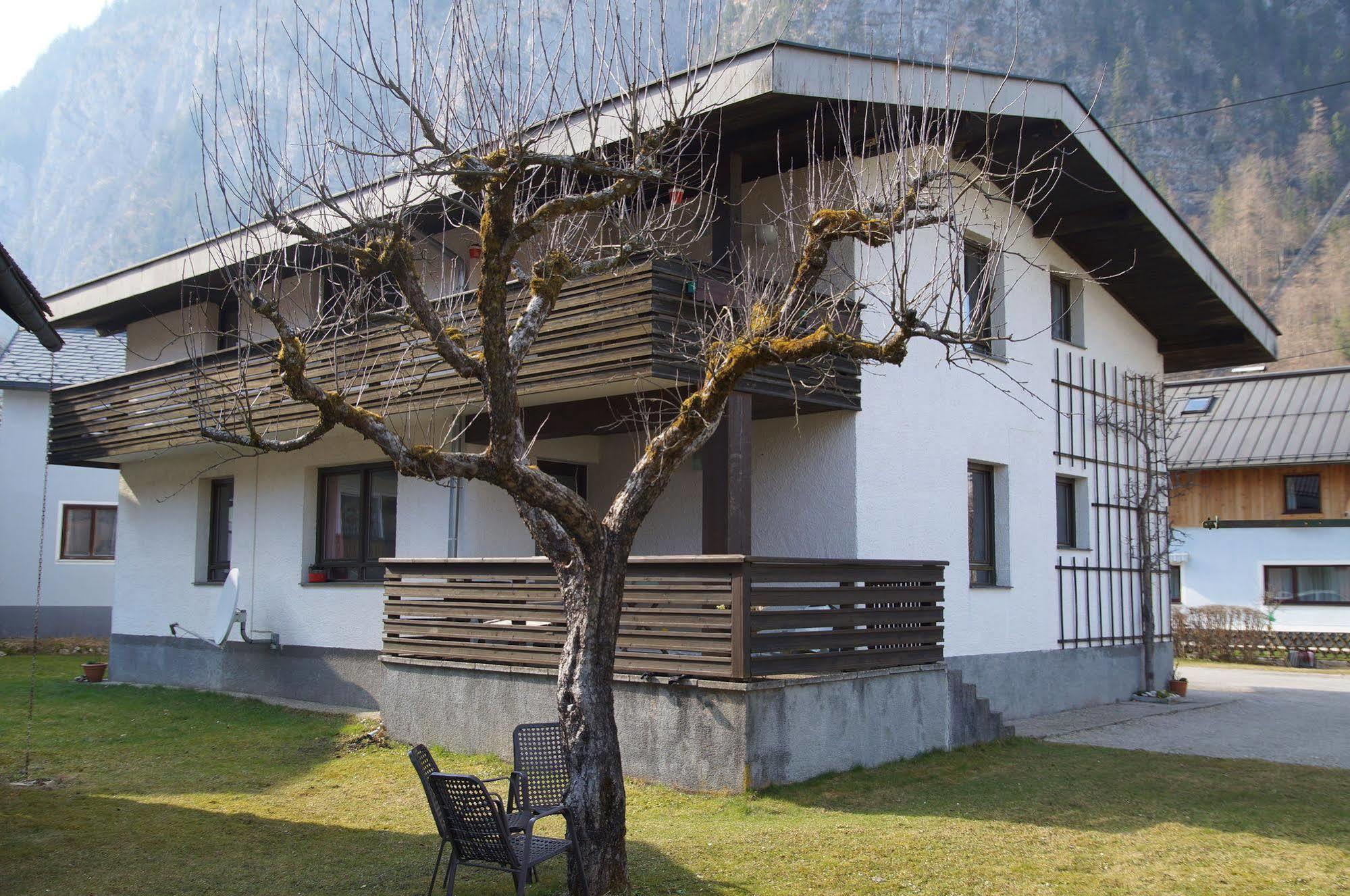 W & S Executive Apartments - Hallstatt I Eksteriør billede